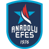 Anadolu Efes S.K.